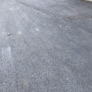 Meet your Posher, Blake